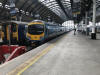 hull paragon