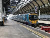 hull paragon