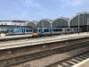 hull paragon