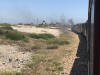 dungeness