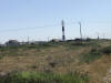 dungeness