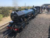 dungeness